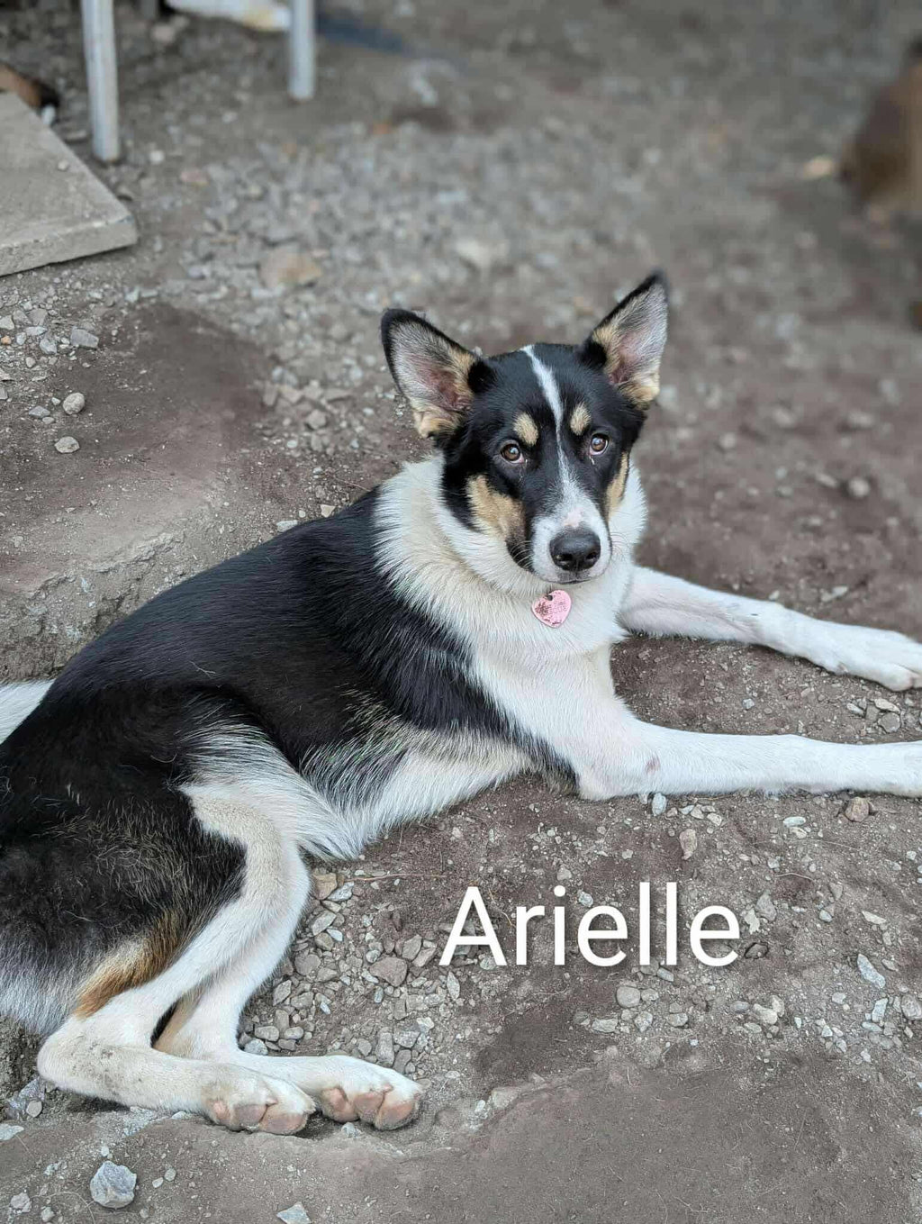 Arielle
