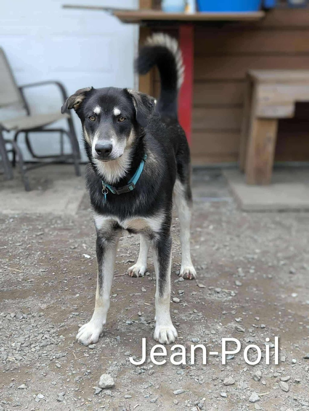 Jean Poil