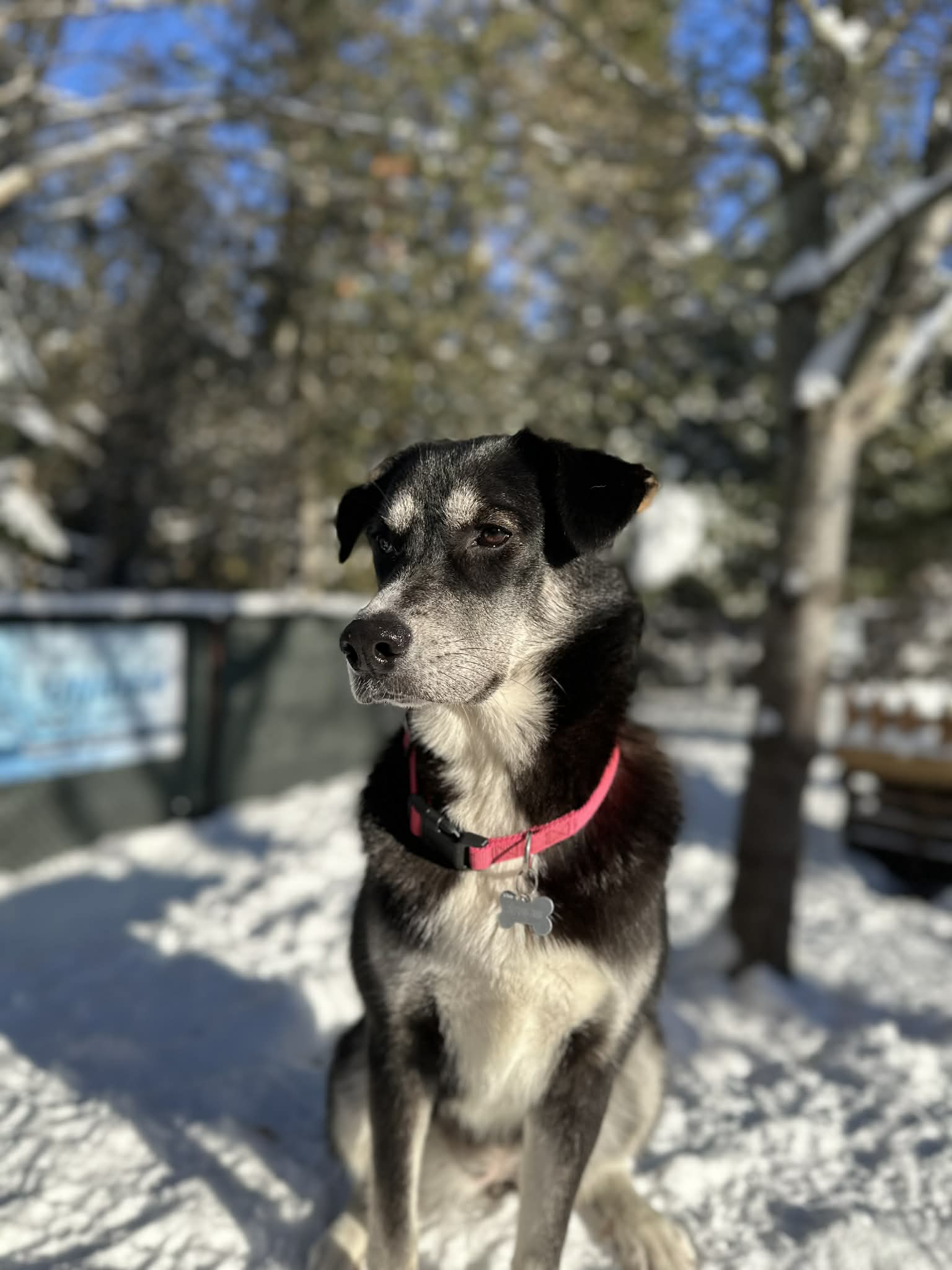 Nina