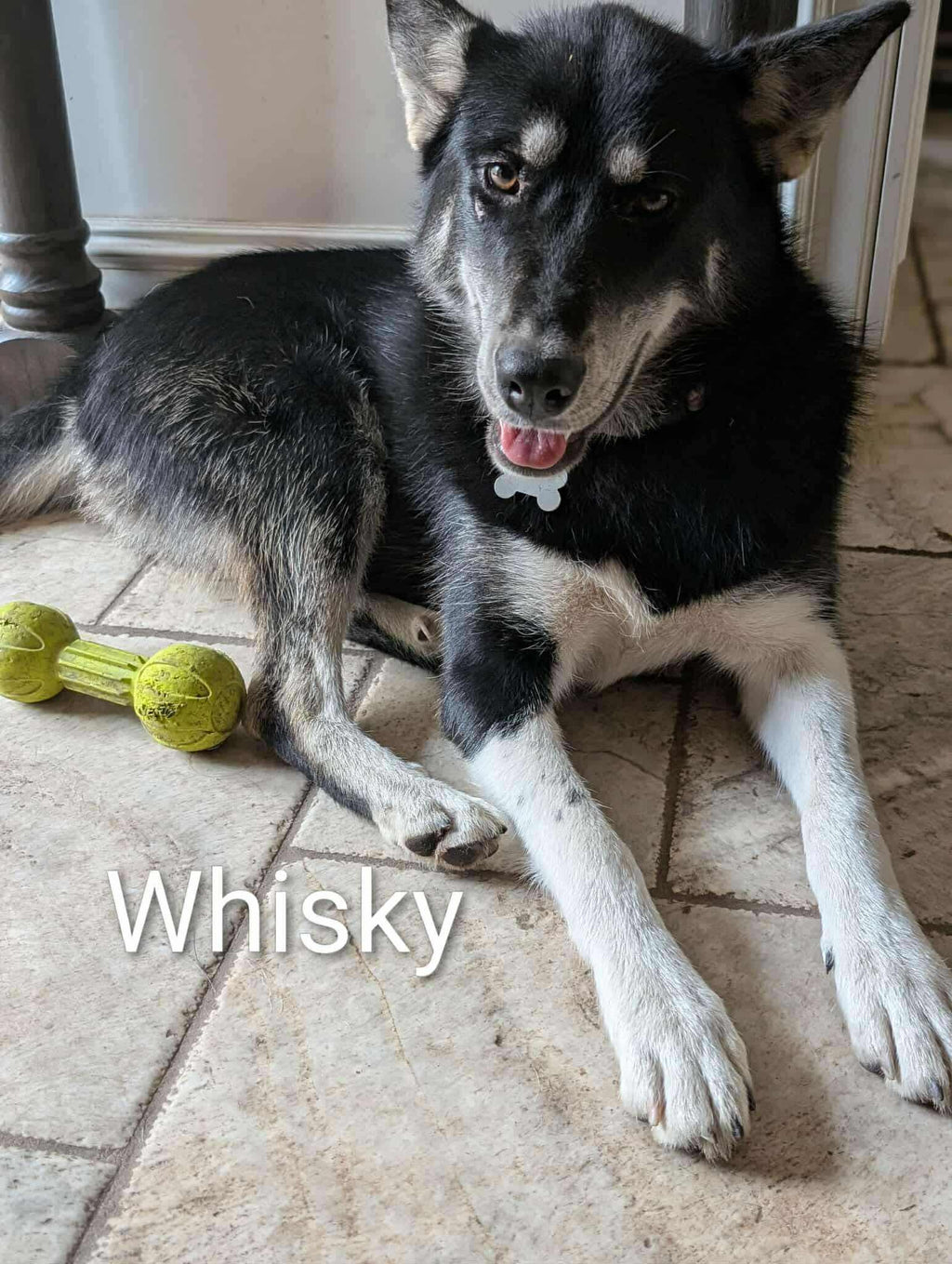 Whisky