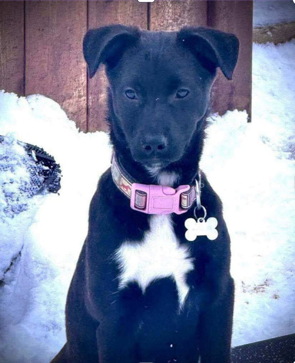 Minnie